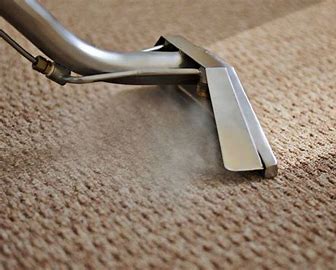 Professional carpet shampoo cleaning removing deep dirt and stains